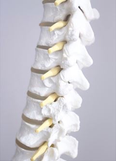Chiropractic Care for Neck Pain in Portland OR